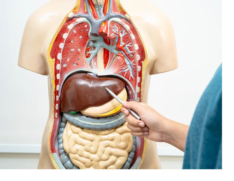 Ascites Treatment Ascites Treatment