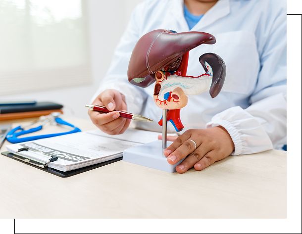 Hepatic Abscess Treatment Hepatic Abscess Treatment
