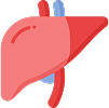 Assess liver health Assess liver health