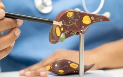 Navigating the Gut: Your Guide to Digestion