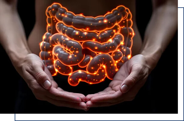 IBD Overview IBD Overview