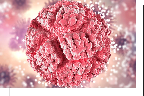 Types of Neuroendocrine tumor Types of Neuroendocrine tumor